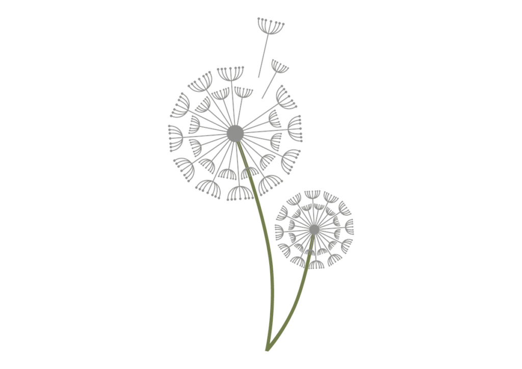Jednoduchá ilustrácia dvoch púpav so zelenými stonkami a sivými semennými hlavičkami, z ktorých niektoré semená plávajú preč, na bielom pozadí.