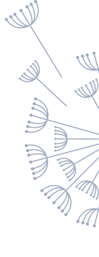 Štylizovaná ilustrácia semien púpavy v svetlomodrej farbe, ktoré sú rozptýlené a vejú šikmo cez hladké biele pozadie.