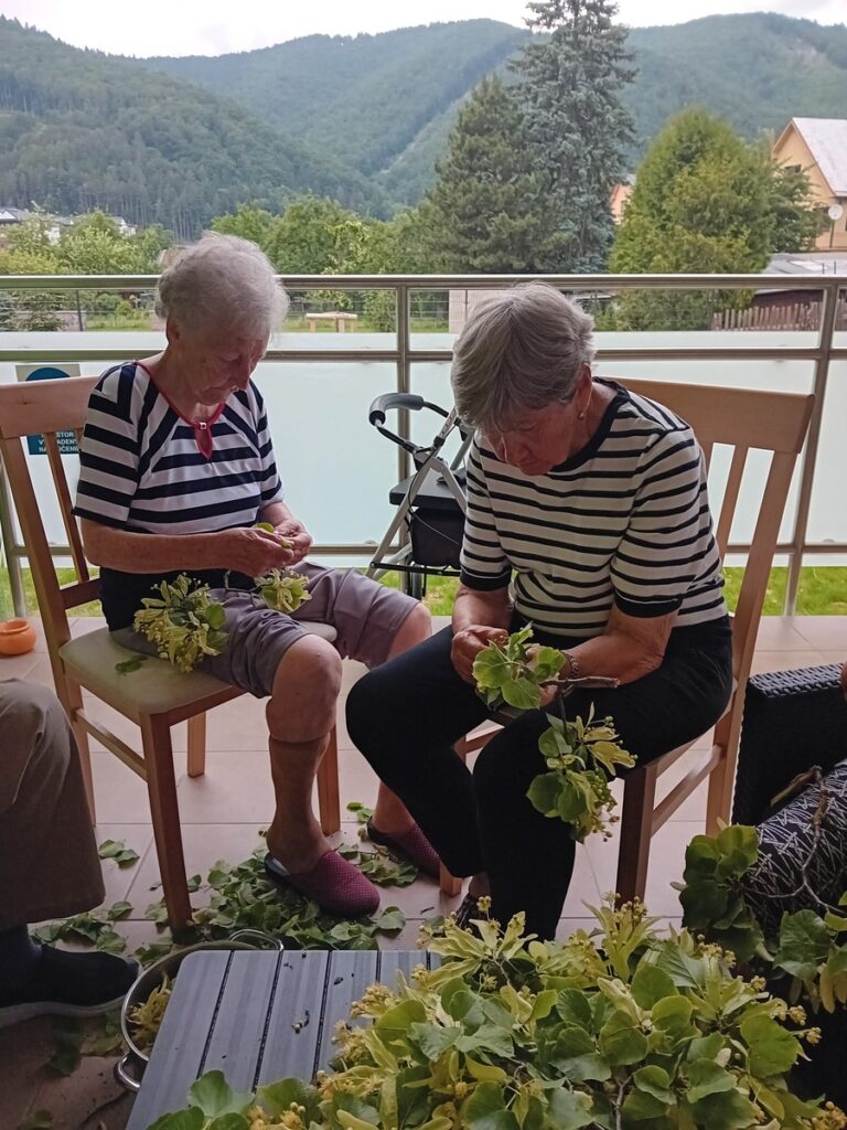 Obyvateľky DSS Harmónia spracujúce rastliny