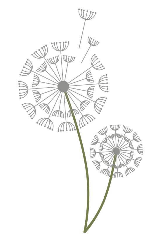 Jednoduchá ilustrácia dvoch púpav so semienkami rozfúkanými vetrom, nakreslená sivými a zelenými čiarami na bielom pozadí.